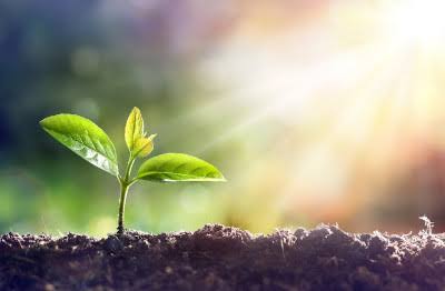 Environment Friendly System